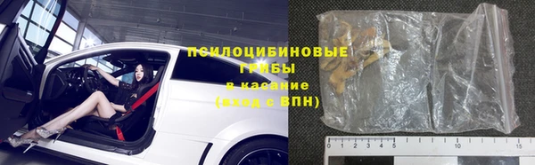 дмт Богданович