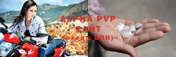 дмт Богданович