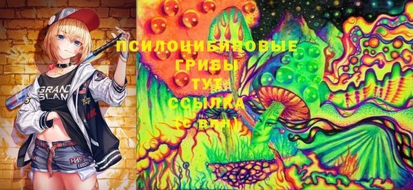 мдпв Белокуриха