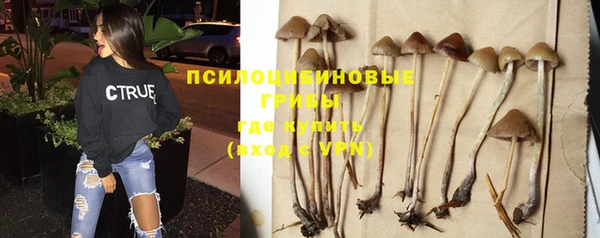 винт Беломорск