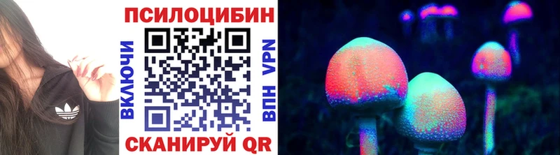 Псилоцибиновые грибы Psilocybine cubensis  купить   Лысьва 
